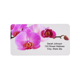 Etiqueta Orquídeas rosadas hermosas