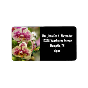 Etiqueta Orquídeas Tropicales