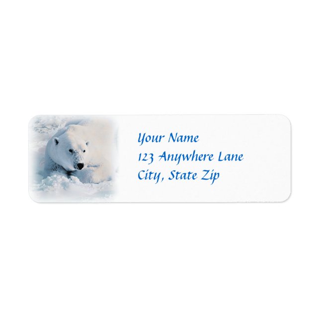 Etiqueta Oso polar y nieve (Frente)