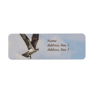 Etiqueta Osprey en una jerarquía