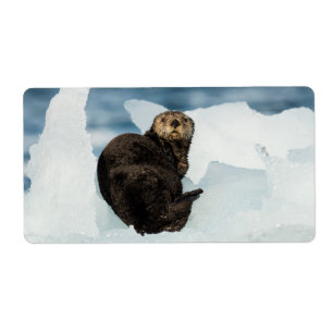 Etiqueta Otter marino de reposo