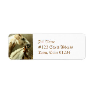 Etiqueta Paint Horse Pair Mailing Label