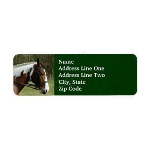 Etiqueta Paint Horse Profile, with Bridle Green Pasture