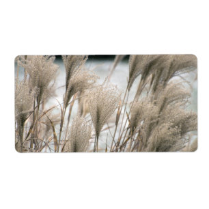 Etiqueta Paja en invierno