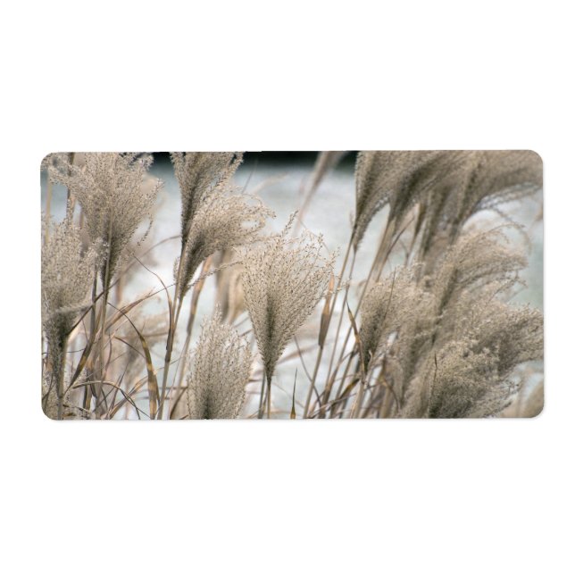 Etiqueta Paja en invierno (Frente)