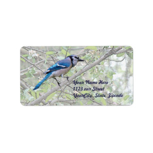 Etiqueta Pájaro cantante del arrendajo azul