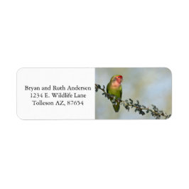 Etiqueta Pájaro de amor de cara sonrosada en una rama