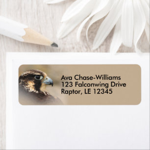 Etiqueta Pájaro del Halcón Peregrino de Prey