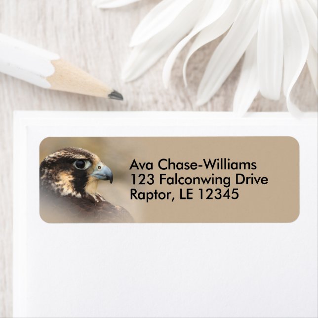 Etiqueta Pájaro del Halcón Peregrino de Prey (In situ)