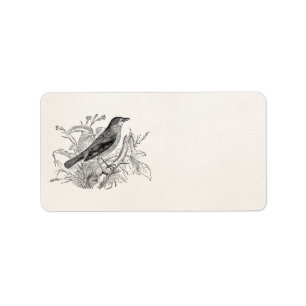 Etiqueta Pájaros retros personalizados pájaro del usignuolo