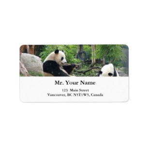 Etiqueta Pandas gigantes