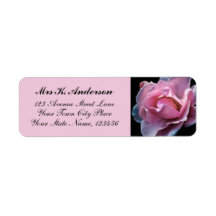 Papel de carta personalizado Foto Rosa Negra Rosa