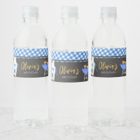 Baby Shower de Blue Gingham BBQ
