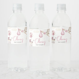 Etiqueta Para Botella De Agua Chica Storck Special Delivery Baby Shower