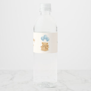 Etiqueta Para Botella De Agua Chico de oso de globo azul Baby Shower