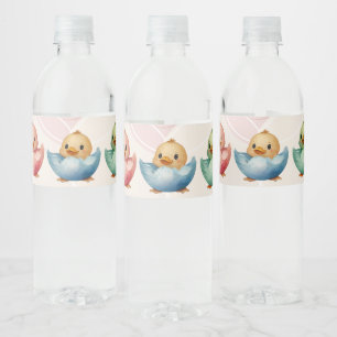 Etiqueta Para Botella De Agua Cute Kawaii Egg Birds Pastel de Baby Shower de col