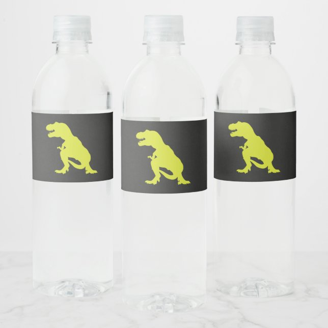 Etiqueta Para Botella De Agua Dinosaurio Cumpleaños Moderno T Rex (Botellas)