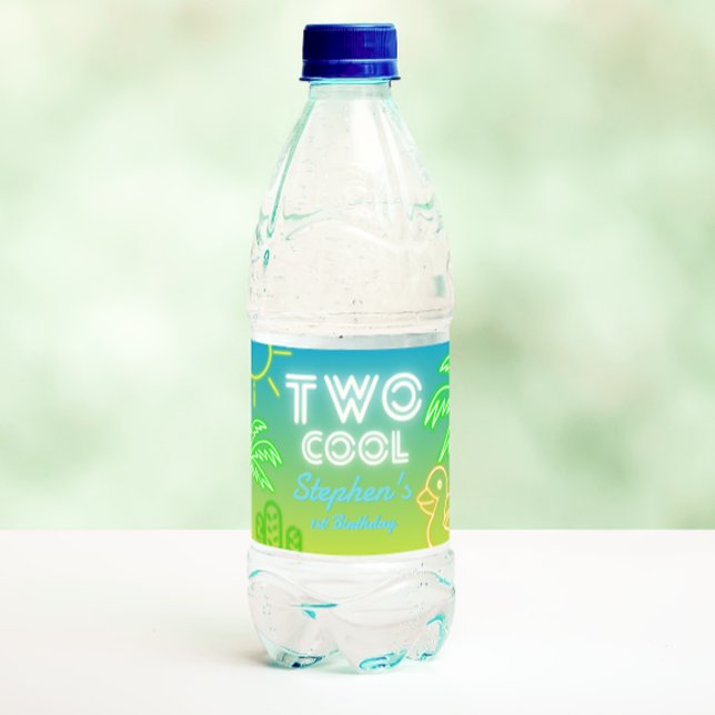 Etiqueta Para Botella De Agua Dos cumpleaños de Guay (Two Cool 2nd Birthday Water Bottle Label)