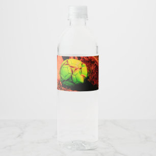Etiqueta Para Botella De Agua explorador de mosquito