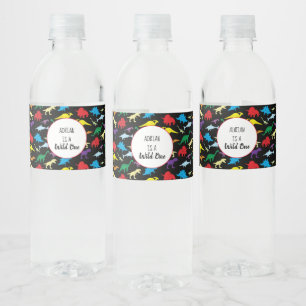 Etiqueta Para Botella De Agua Fiesta de cumpleaños de dinosaurios coloridos para