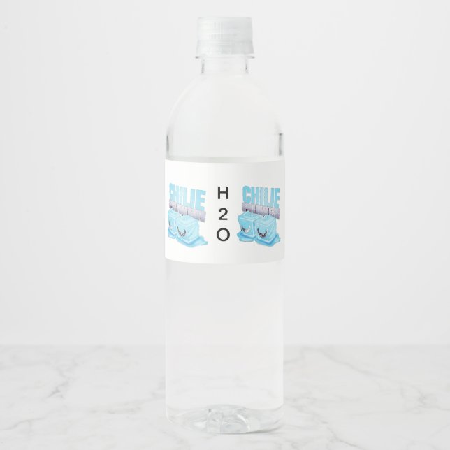 ETIQUETA PARA BOTELLA DE AGUA H2O (Anverso)