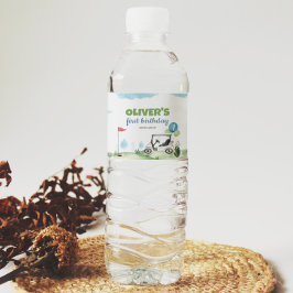 Etiqueta Para Botella De Agua Hole In One Golf Birday Party Water Bottle Label