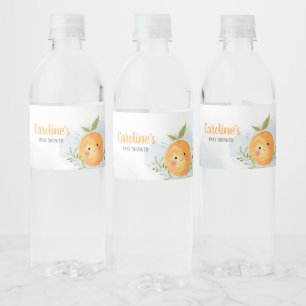 Etiqueta Para Botella De Agua Niño Pequeño Cielo Naranja de Limonada Fiesta de B