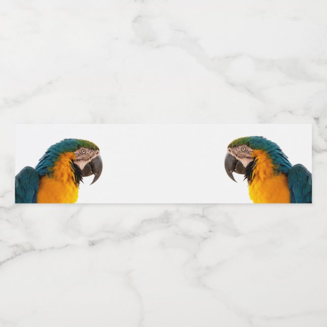 Etiqueta Para Botella De Agua Parrot  (Etiqueta única)