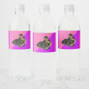 Etiqueta Para Botella De Agua Patitos sobre sorbete de frambuesa rosa y púrpura