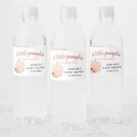 Peach Purpurina Baby Shower Un poco de calabaza