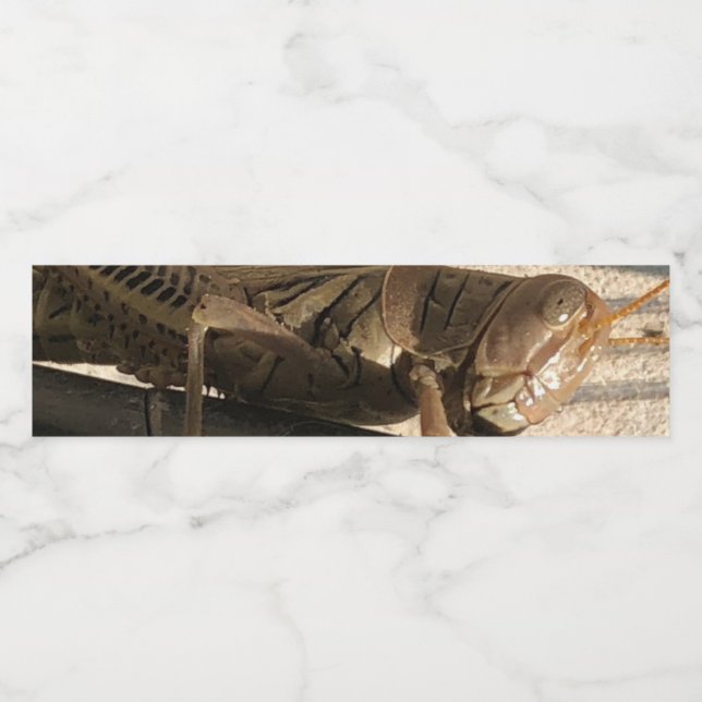 Etiqueta Para Botella De Agua Saltamontes  (Etiqueta única)