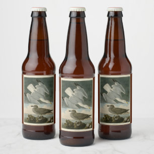 Etiqueta Para Botella De Cerveza Gull arenque de los pájaros de América de John Aud