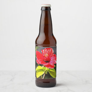 Etiqueta Para Botella De Cerveza Hermosa Flor Tropical Roja Artística Hibiscus