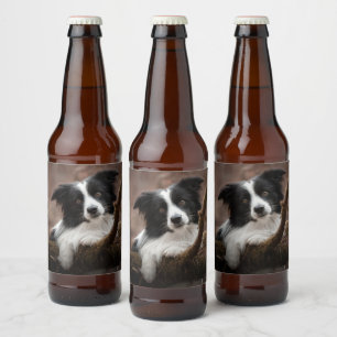 Etiqueta Para Botella De Cerveza Impresionante retrato de color de borde