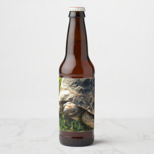 Etiqueta Para Botella De Cerveza Tortuga salvaje en la pradera de hierba