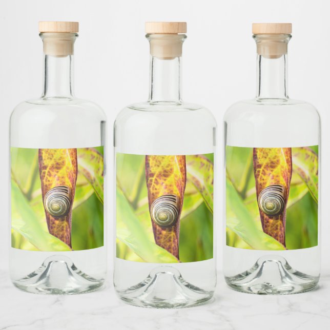 Etiqueta Para Botella De Licor apego tranquilo (Botellas)