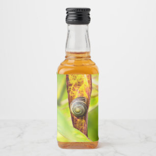 Etiqueta Para Botella De Licor apego tranquilo