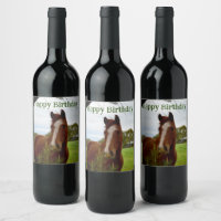 "A Whipwhof Nature: A Chestnut Horse and Banksia,