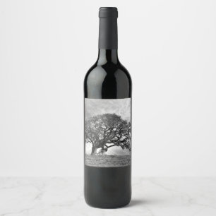 ETIQUETA PARA BOTELLA DE VINO ÁRBOL DE OAK SOLO