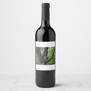 Etiqueta Para Botella De Vino Arrendajo azul