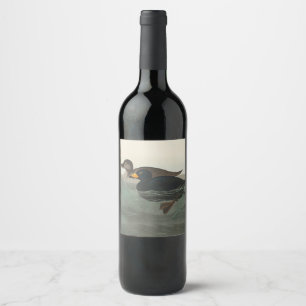 Etiqueta Para Botella De Vino Audubon American Scoter Duck