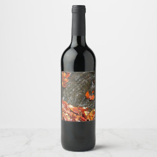 Etiqueta Para Botella De Vino Caídas en cataratas en fotografía de otoño