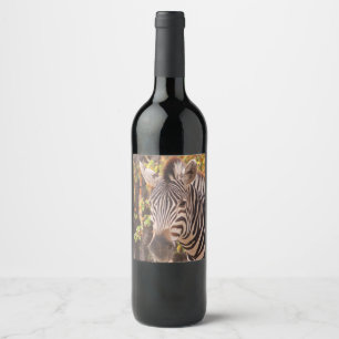 Etiqueta Para Botella De Vino Cebra de Burchell africana con rayas en bushveld