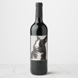 Etiqueta Para Botella De Vino Conejo de conejo blanco y negro adorable