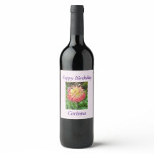 Dahlia rosa y amarilla