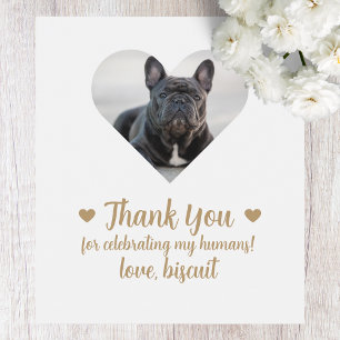 Etiqueta Para Botella De Vino Etiqueta de vino de boda de perro con foto persona