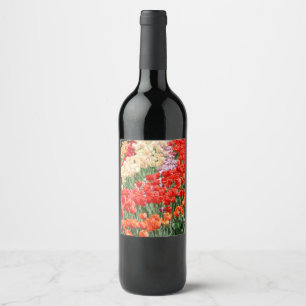 Etiqueta Para Botella De Vino Filas caídas del arcoiris
