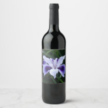 Flor morada blanca y seda