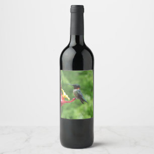 Etiqueta Para Botella De Vino Fotografía de aves de colibrí de garganta rubí