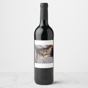 Etiqueta Para Botella De Vino Gato